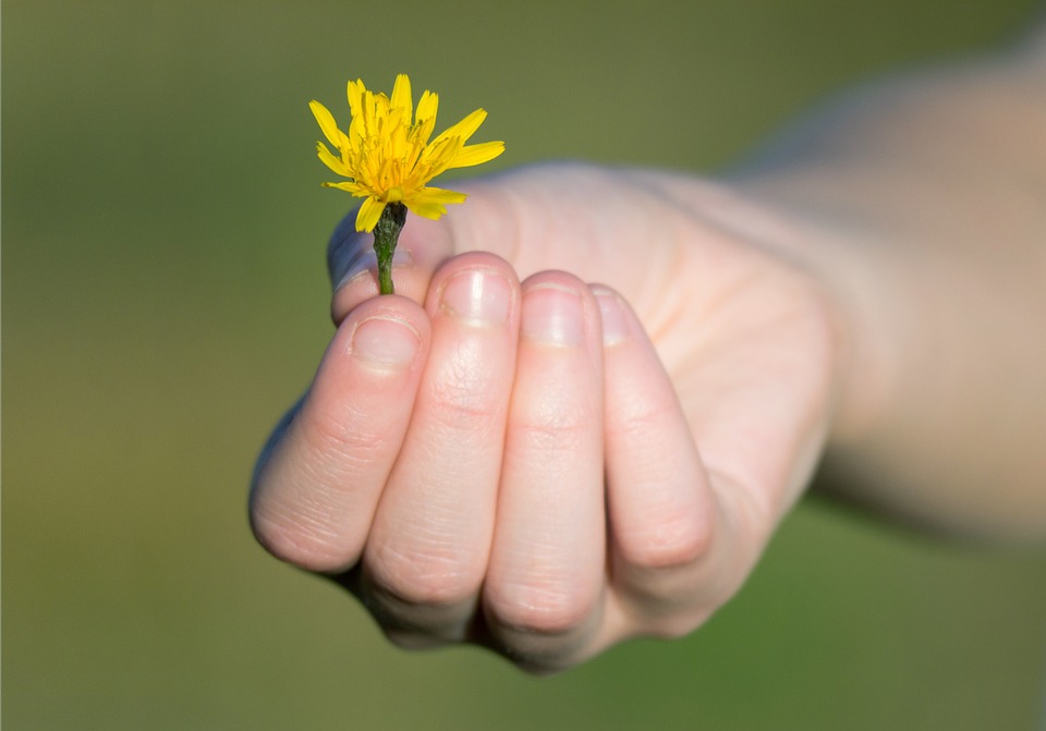 The Importance of Breathing in Yoga and The Science of Pranayama and Its Benefits